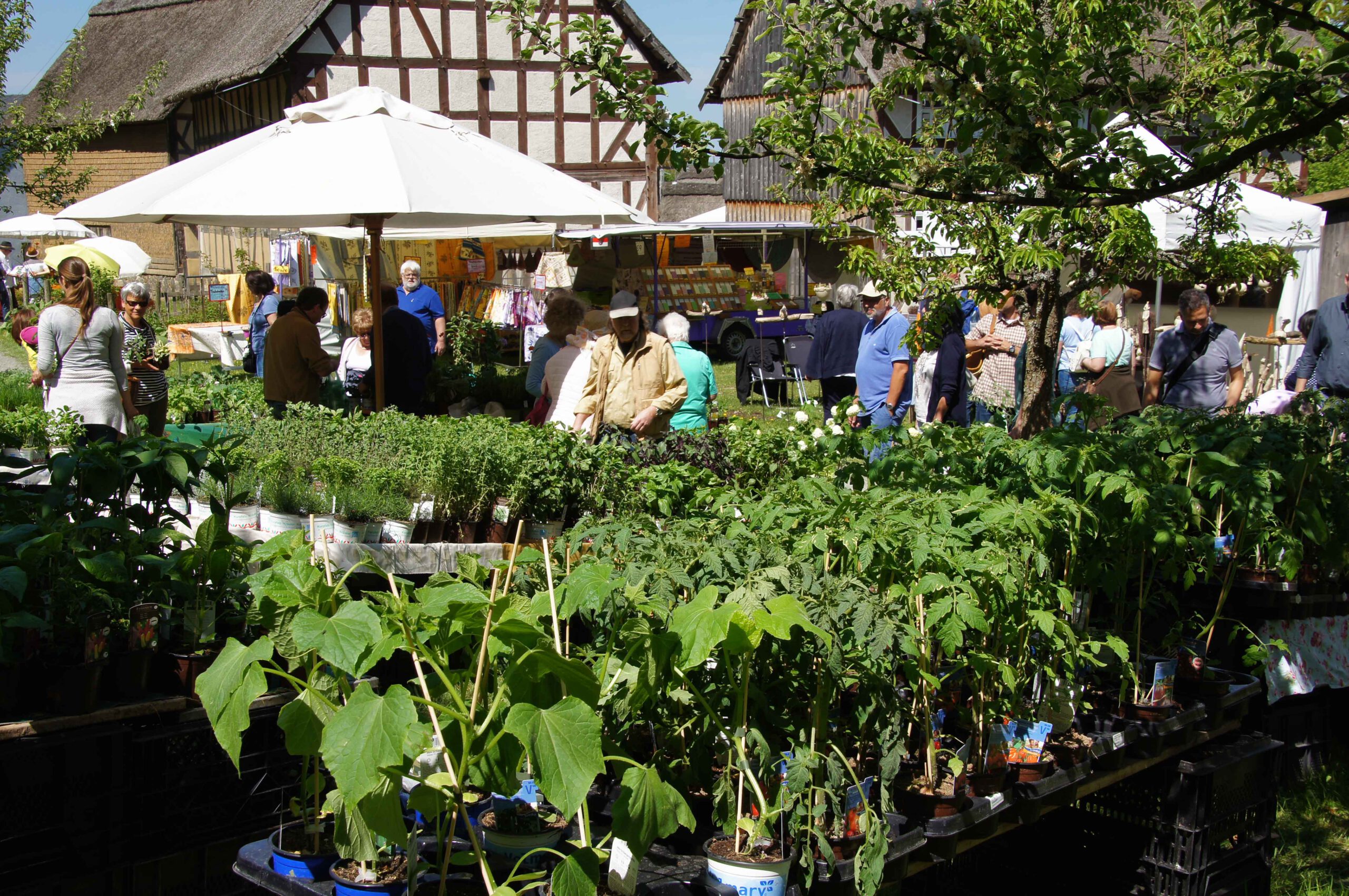 Pflanzenmarkt im Freilichtmuseum Hessenpark