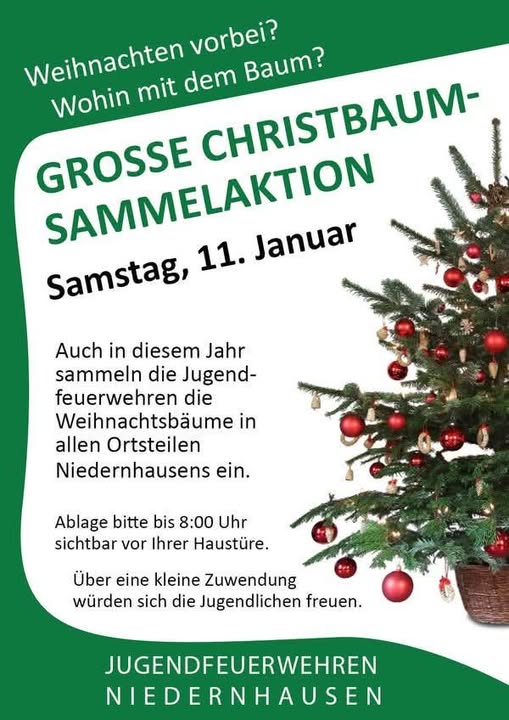 Weihnachtsbäume große Sammelaktion